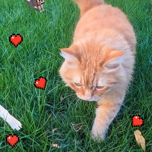 ill swim backwards (Explicit)