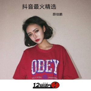 迪迦旋律