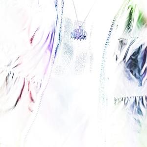 FLOWERZ (RECKLESSBOISE REMIX)