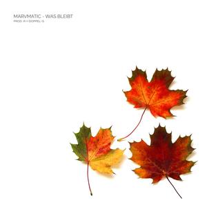 Was bleibt(feat. Marvmatic) (Explicit)