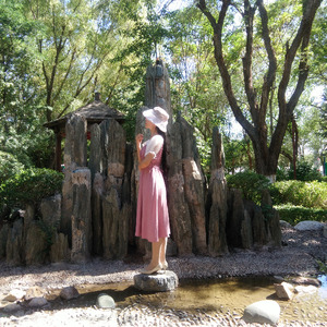 清平乐 (翻奏: 腾格尔)