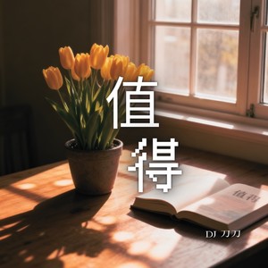 值得 (DJ刀刀版)封面