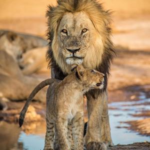 Count on Me (Explicit)