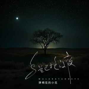 乌兰巴托的夜-弹棉花的小花