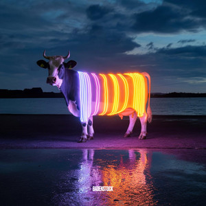 F L O O R (SongBot Remix)