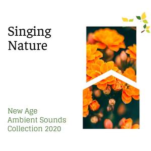 Singing Nature - New Age Ambient Sounds Collection 2020