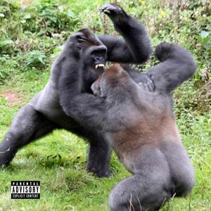 2 GORILLAS (Explicit)