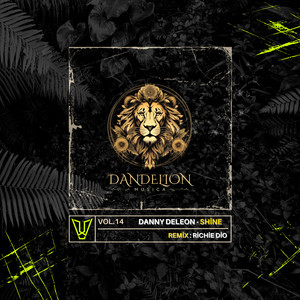 Shine (Richie Dio Remix)