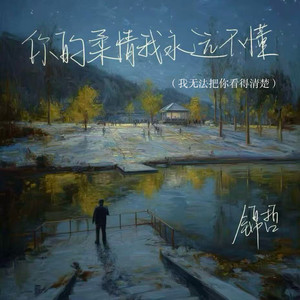 你的柔情我永远不懂(我无法把你看的清楚)