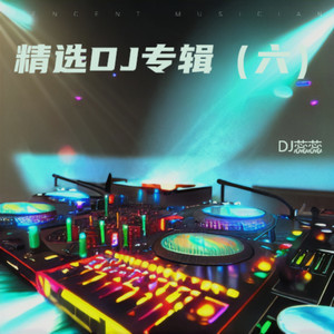 给我一个理由忘记 (DJ蕊蕊 remix)