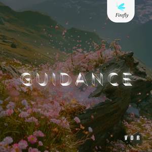 Guidance