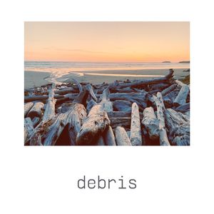 debris