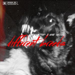 Different Breeds (Explicit)