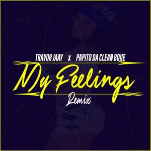 My Feelings (feat. Papito Da Clean Boiie) [Remix] [Explicit]