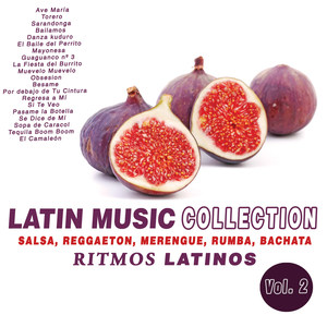 Latin Music Collection : Ritmos Latinos (Vol. 2)