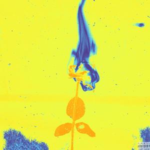 Love Me, Love Me Not (feat. Zay Blaze) (Explicit)