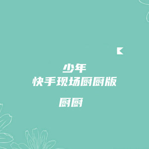 少年