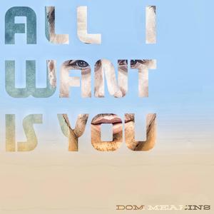 All I Want Is You