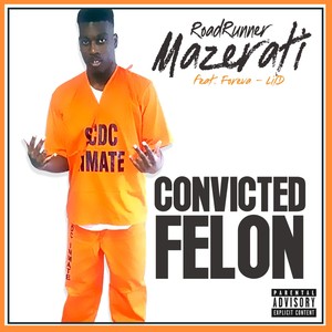 Convicted Felon