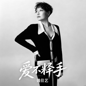 爱不释手（待我拱手河山讨你欢）封面