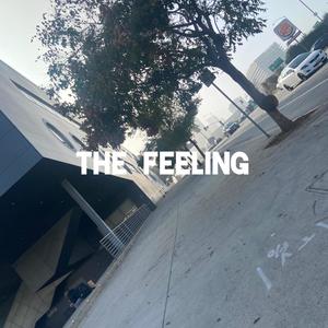 The Feeling (Explicit)