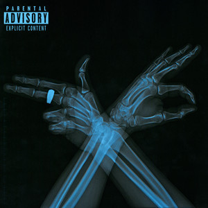 **** Fake Rap (Explicit)