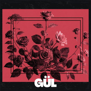 Gül
