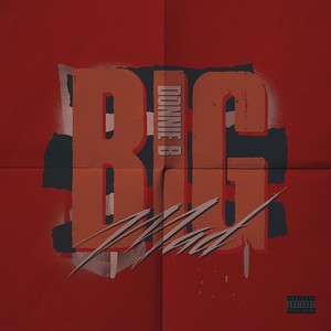 Big Mad (Explicit)