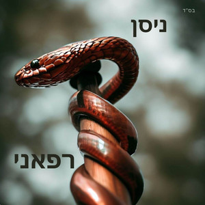 רפאני