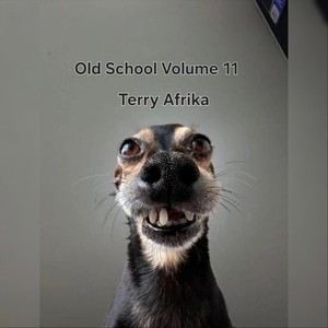 Old School Volume 11
