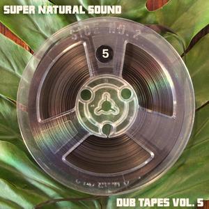 Dub Tapes, Vol. 5