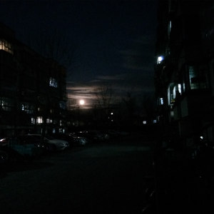 成宇 - 有你的地方