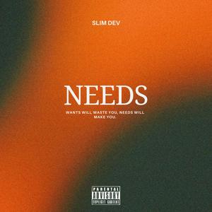 Needs (Explicit)