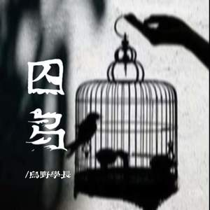囚鸟 (像是你可有可无的影子)