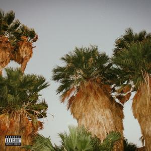 ANYBODY (feat. RickTello) (Explicit)