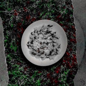 дв0йник (Prod. by vo1ces & VELLAZAR)