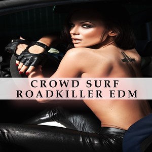 Crowd Surf Roadkiller EDM