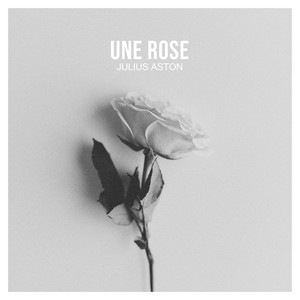 Une rose