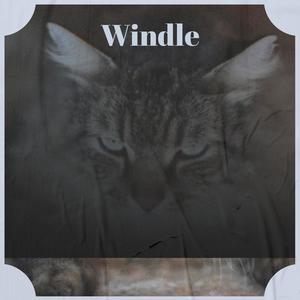 Windle