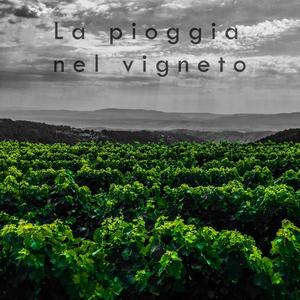 La pioggia nel vigneto