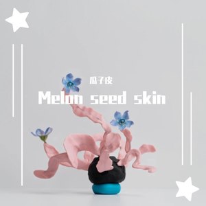 Melon seed skin (Demo)