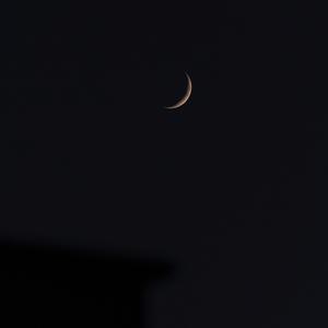 I juh rolled up (feat. 5tack, Lex Boogie & Ru Benji) (Explicit)