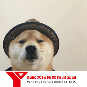 催泪系伤感语录