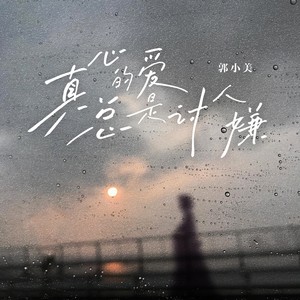 真心的爱总是讨人嫌 (DJ版)