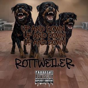 UP AND DOWN!! (Explicit)