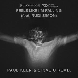 Feels Like I'm Falling (feat. Rudi Simon & ST3VE O)