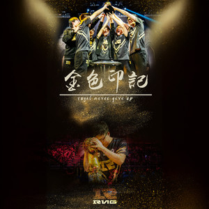 金色印迹——致RNG 的少年们