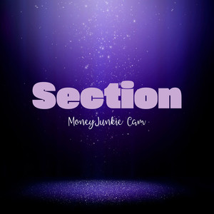 Section (Explicit)