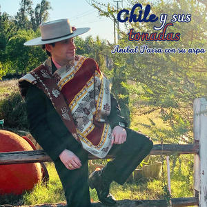 Al pie de mi Guitarra / Huaso Ladino / Fiesta Linda