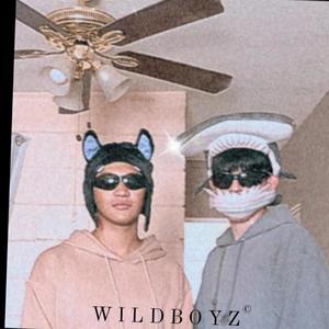 wildboyz (Explicit)